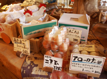 いろんな種類の卵たち