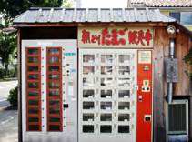 卵は自動販売機でも購入可