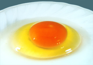 tamago